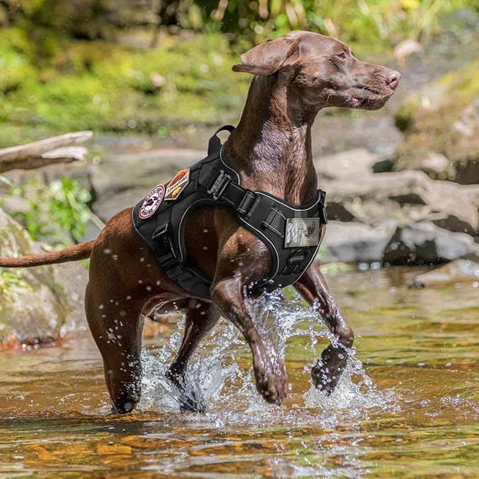 rabbitgoo Upgraded Tactical Dog Harness for Large Dogs, Reflective Heavy Duty Pet Harness with Handle, No-Pull Service Vest, Adjustable Military Vest for Training Hunting Walking, Black, XL