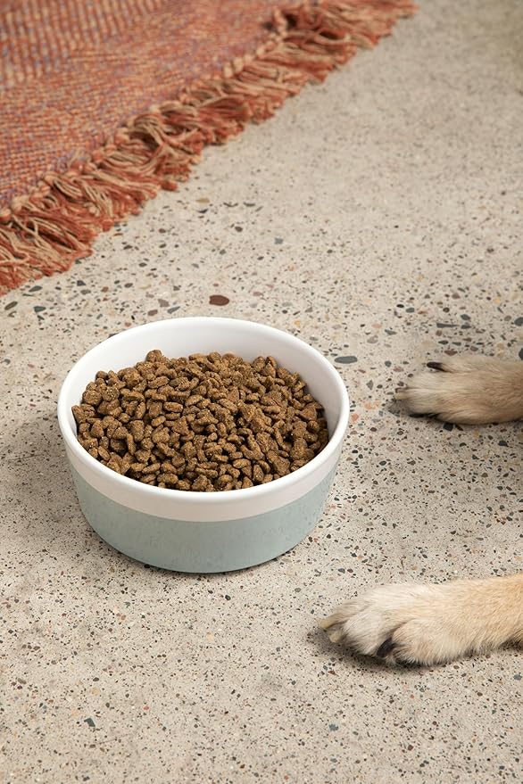 Waggo Dipper Ceramic Dog Bowl for Small and Large Breeds - Heavyweight and Durable Pet Food and Water Dish Crock, Dishwasher Safe, Modern (Cloud, Small)