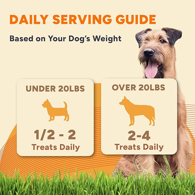 Gaines Family Farmstead Peanut Butter Coated Sweet Potato Dog Bones – 40 oz Bag, Grain-Free, Chewy, Natural Dog Treats for Digestion, Skin, Energy & Immunity – Limited Ingredient, Made in USA