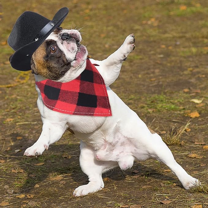 Yewong Pet Cowboy Costume Accessories - Dog Cat Pet Size Cowboy Hat and Bandana Scarf West Accessories for Puppy Kitten Party Festival and Daily Wearing Set of (Black Hat+Red Bib)
