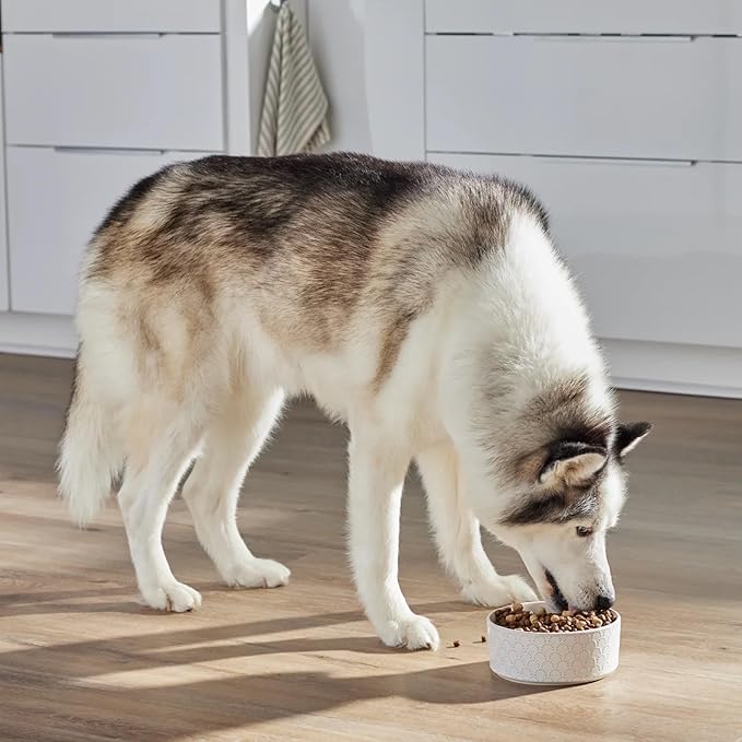 Open Farm, RawMix Grain-Free Dry Dog Food, Protein-Packed Kibble Coated in Bone Broth with Freeze Dried Raw Chunks, Salmon Whitefish & Rockfish,Wild Ocean Recipe, 3.5lb Bag