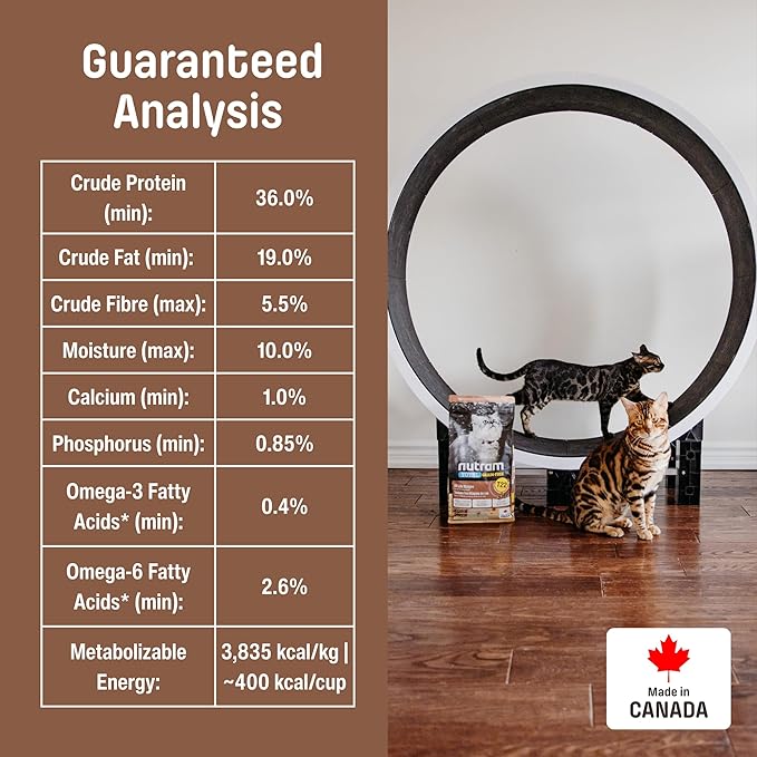 T22 Grain-Free Cat Food – Chicken & Turkey Dry Kibble | Holistic andHigh Protein, Urinary Support, Clean Nutrition for Adult Cats & Kittens | Supports a Strong Immune System (4.4 Pounds)