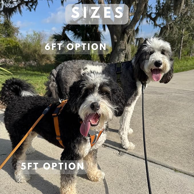 ShawnCo Basecamp Rope Dog Leash- Premium, Durable Pet Leash with Soft Neoprene Padded, Reflective Handle for Small, Medium and Large Dogs (Moonglow, 5 Feet)