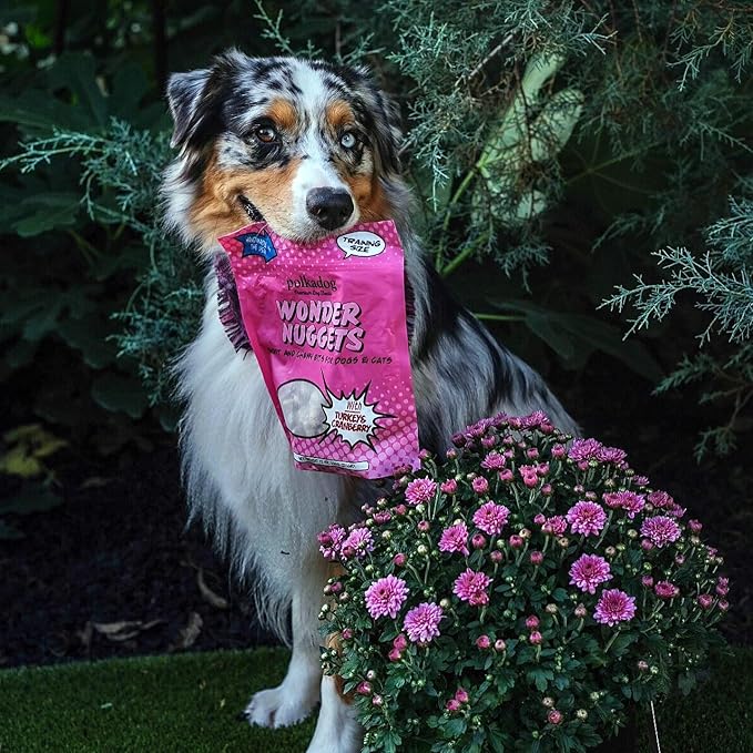 Polkadog Wonder Nuggets Variety 3-Pack– Includes Peanut Butter, Turkey & Cranberry, Apple & Pork – Soft & Chewy, Limited Ingredient Healthy Training Treats – Natural, Made in USA – 10 oz (Pack of 3)