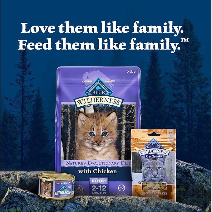 Blue Buffalo Wilderness Kitten Food, High-Protein & Grain-Free Wet Cat Food Paté Variety Pack, Chicken & Salmon Recipes, 3-oz Cans (6 Count, 3 of Each)