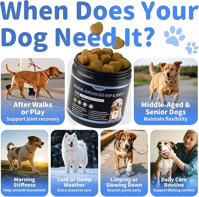 Senior Dog Joint Supplement, 17-in-1 Glucosamine for Dogs with Chondroitin, MSM, Pea, CoQ10, Omega-3, Hip and Joint Chews for Dogs – Beef Flavor – 90 Soft Chews – for All Breeds & Sizes