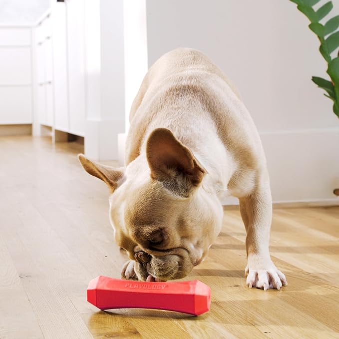 Playology Squeaky Dog Toy Fetch Stick | Durable Rubber Toys for Interactive Play | Beef Scented Fetch Stick for Medium Dogs, Value 2-Pack | Floating Dog Toy Made from Non Toxic Materials