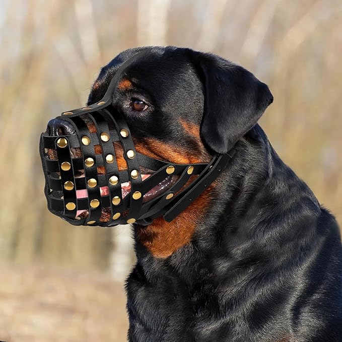 OOPSDOGGY Rottweiler Dog Muzzle for Large Dogs - Leather Breathable Secure Basket Muzzle for Large Breeds Prevents Biting No Chewing Adjustable (Black, Size 5 - Rottweiler)