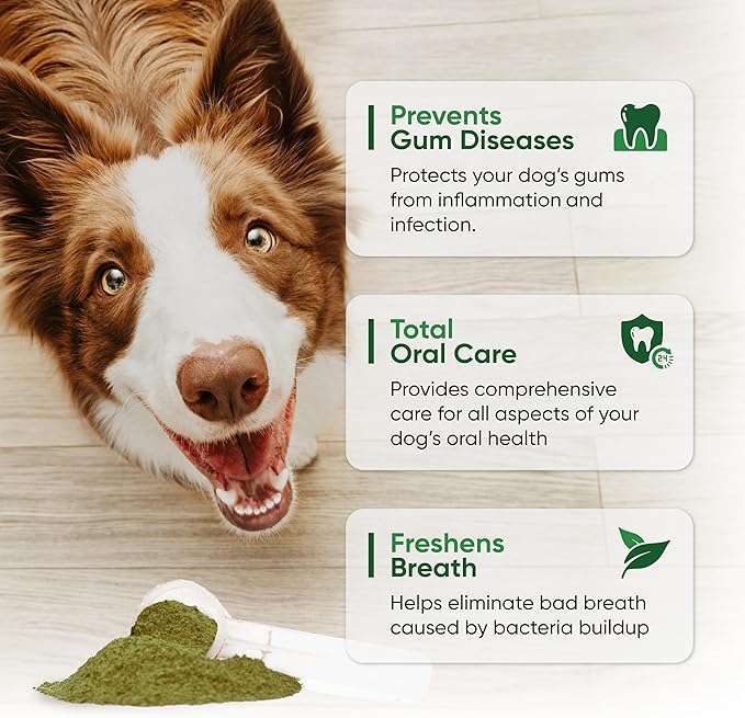 Dog Teeth Cleaning Powder - Fortify Dental Powder for Dogs - Plaque Remover and Freshens Bad Breath with Fresh Green Supplements - Contains Kelp, Probiotics, and Other Tooth Cleaning Ingredients