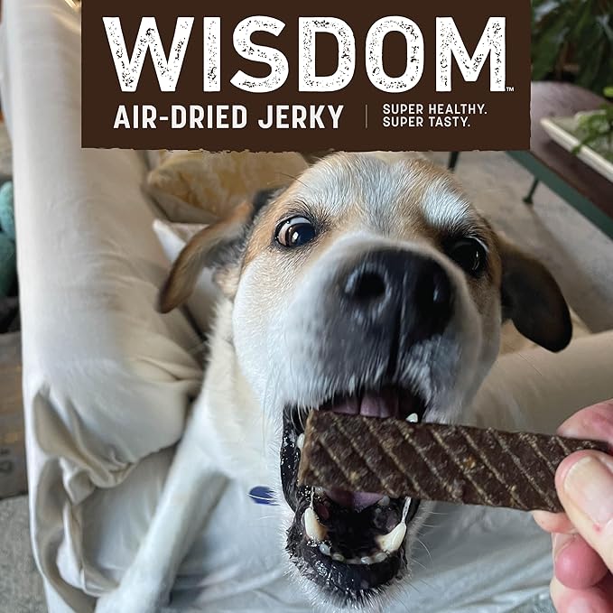 Earth Animal Wisdom Air-Dried from The Air Recipe Premium Natural Jerky Strips Dog Treats, 4 oz. Bag (Pack of 3)