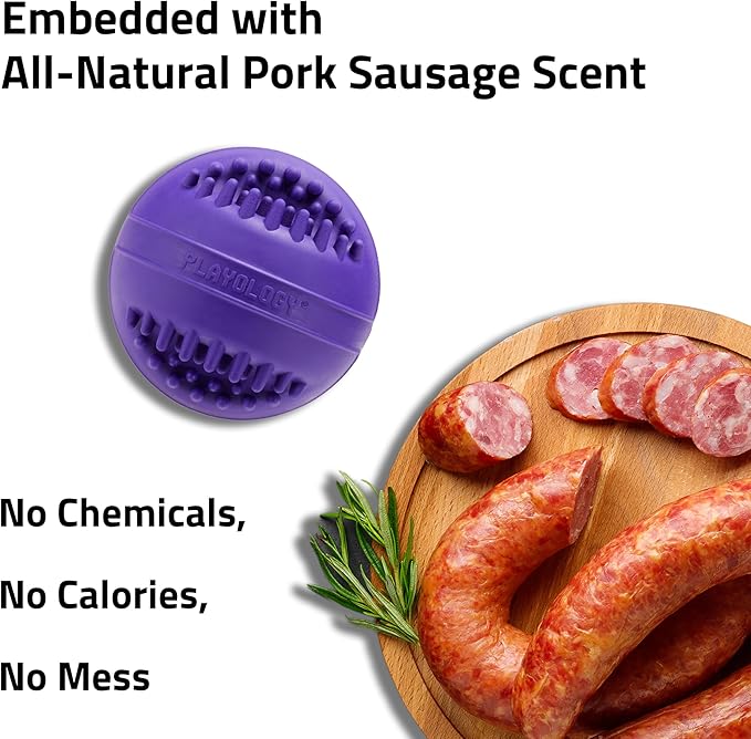 Playology Dog Toys | Dental Chew Ball Gentle on Gums | Medium Pork Sausage Scented Toy - Easy to Clean and Made from Non Toxic Materials