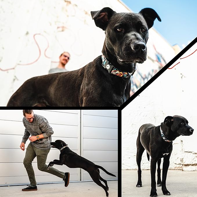 Wolfgang Heavy Duty Adjustable Dog Harness, Pull-Tested to Over 800 lbs for Walking & Training, LosMuertos Print, Extra Large