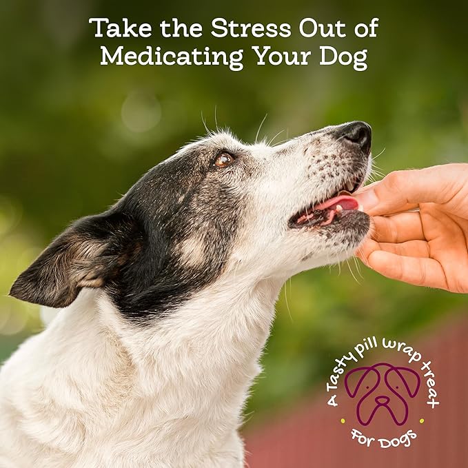 Riley's Pill Wrap for Dogs - Delicious Peanut Butter Flavored Pill Paste for Dogs - Wrap Pills, Capsules, Tablets in a Pocket or Pouch to Mask The Taste & Make Pill Time Easy - 4.2 oz