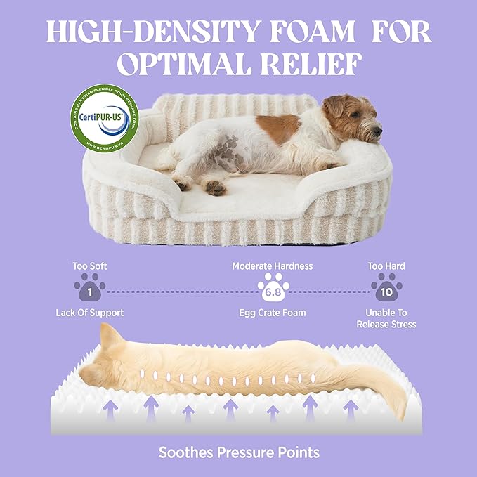 LE SURE Cute Dog Bed for Small Dogs, Orthopedic Waterproof Small Pet Beds with Sides, High Back Non-Slip Bottom and Egg-Crate Foam Puppy Couch Sofa with Washable Removable Cover, Beige