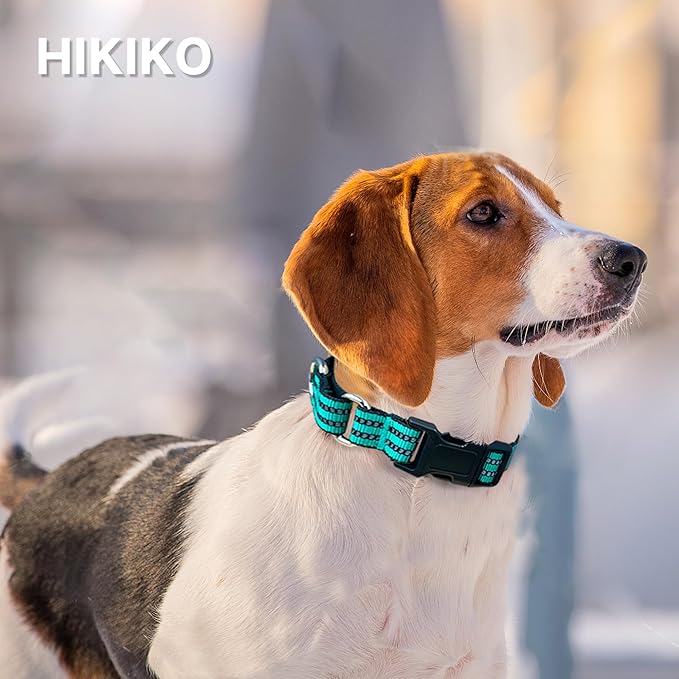 Hikiko Martingale Dog Collars Reflective Nylon Dog Collar with Quick Release Buckle Adjustable Training No Slip Dog Collar (Medium, Turquoise)