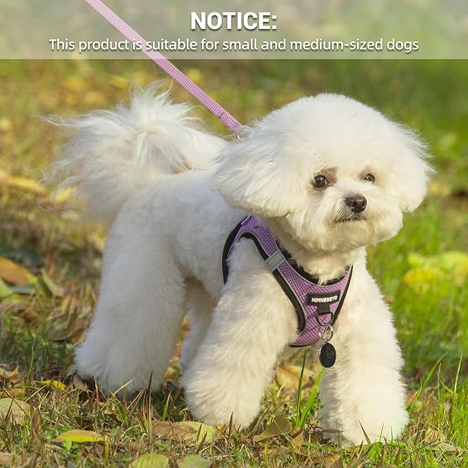 Dog Harness and Leash Set, Dog Harness for Dogs No Pull, No-Chock Step-in Reflective Breathable Lightweight Easy Walk Vest Harnesses with Safety Buckle for Small Medium Dogs, Cats (Light Purple, L)