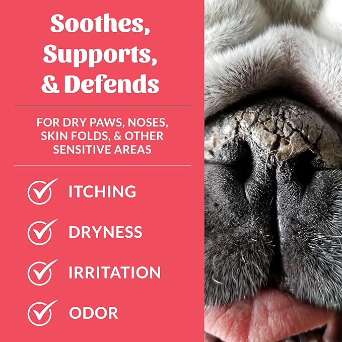 SKOUT'S HONOR Prebiotic Pet Balm - 100% Natural and Made w/Manuka Honey to Promote Healing of Your pet's paw Pads and Nose, Soothes Dry, Itchy Paws and Noses - Safe for Cats and Dogs, 2oz, 2-Pack