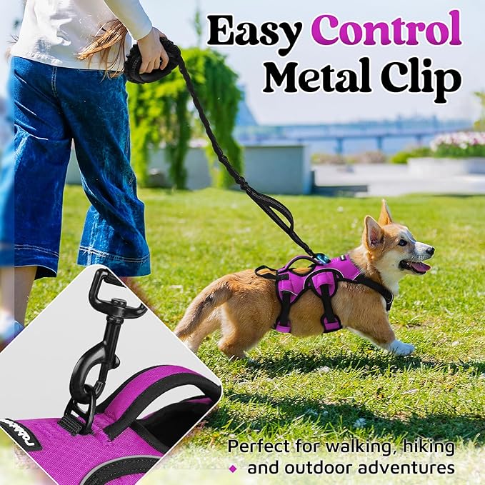 rabbitgoo Escape Proof Dog Harness, Soft Padded Full Body Pet Harness, Reflective Adjustable No Pull Vest with Lift Handle and Lesh Clip for Large Dogs Walking Hiking Training, S, Purple