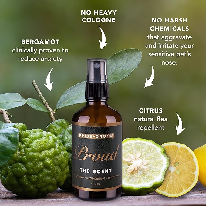Pride and Groom Proud – Luxurious Dog Grooming Spray & Pet Deodorizer with Uniquely Uplifting, Fresh and Clean Signature Scent That’s Safe for Your Pet’s Sensitive Nose – 4 fl oz