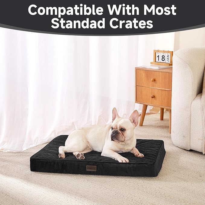 OhGeni Orthopedic Waterproof & Machine Washable Dog Bed for Small Medium Pets, Suitable for Crates, Cat Mat with 25D Egg Crate Foam, Removable Cover, 30 Inches(Black)