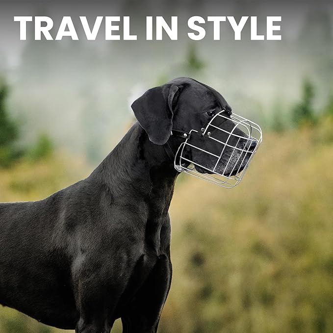 BRONZEDOG Dog Muzzle Adjustable Durable Metal Wire Basket for Large and Extra Large Dogs with Leather Straps Breathable, Drinkable, Training, Prevents Biting (Stainless Steel, Great Dane)