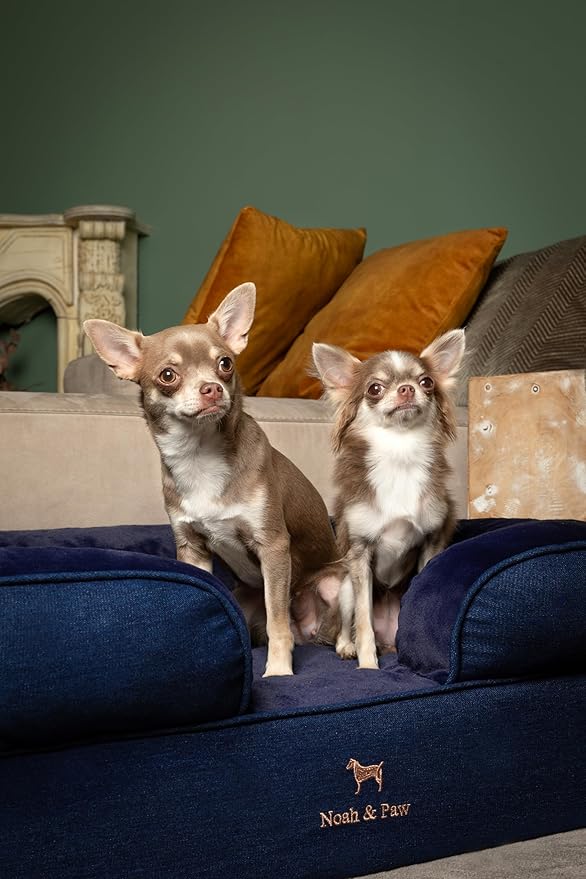 NOAH & PAW Dog Bed, 28x23x11 Inch, Orthopedic Dog Beds for Medium Size Pets, Eggshell Memory Foam Infused with Cooling Gel, Inner Cover, Waterproof, Machine Washable (Denim Sofa Collection)