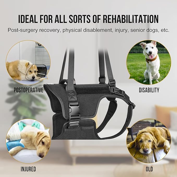 OneTigris Victus Support Harness,Lightweight & Simple Mobility Assistance Vest with Grab Handle | Pet Lifting Rehabilitation Gear | Rear Leg Support Straps