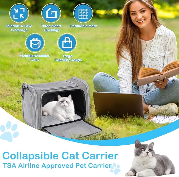 Cat Carrier Soft, Collapsible Cat Bag Carrier, TSA Airline Approved Pet Carrier for Cats with Removable Mat, Breathable Pet Travel Carrier for Small Medium Adult Pussy & Small Dogs (Grey)
