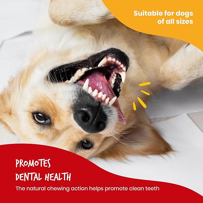 Beefeaters Beefhide 5in Twist with Real Chicken – Protein-Rich Dog Treats for Clean Teeth, Ideal for Training & All Dog Sizes