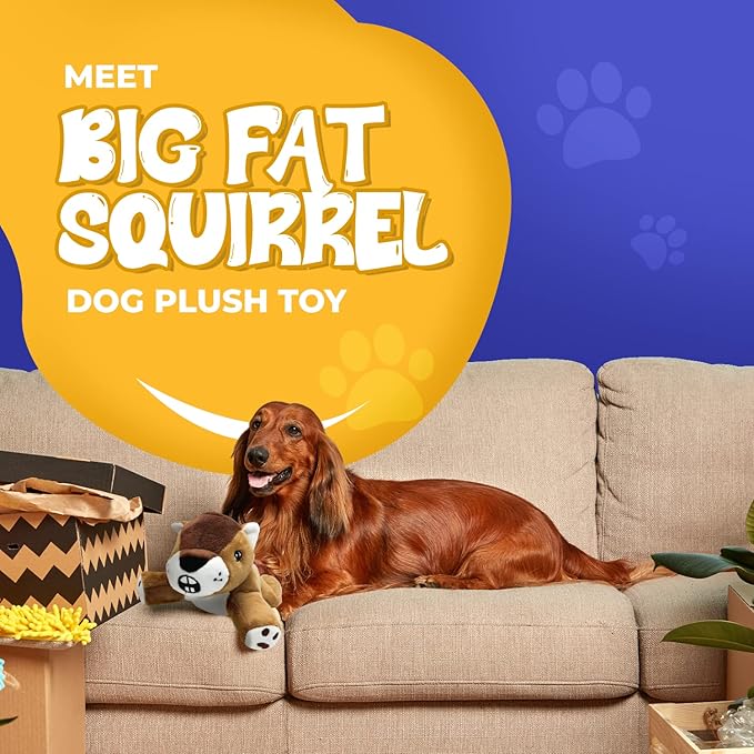 Dog Dog Big Fat Squirrel Plush Chew Toy Stuffed Animal with Squeaker and Smooth Fur and Durable Fabric with Fluffy Tail Surprised Look for Dogs, Kids and Animals