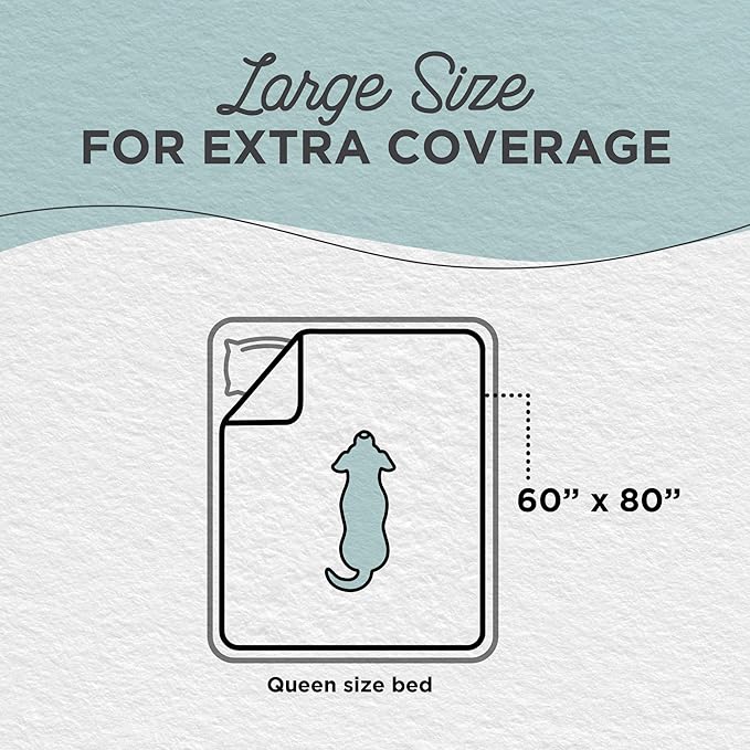 Best Friends by Sheri Calming Shag Cat and Dog Blanket with Non-Skid, Water Resistant Base, Machine Washable, Frost Gray, 60" x 80"