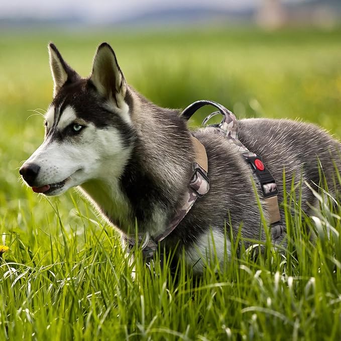 TSPRO Premium Heavy Duty Dog Harness, Adjustable Tactical Dog Harness for Large Dogs with Quick-Release Buckle and Comfortable Soft Handle for Outdoor Walking and Running (Military Green M)