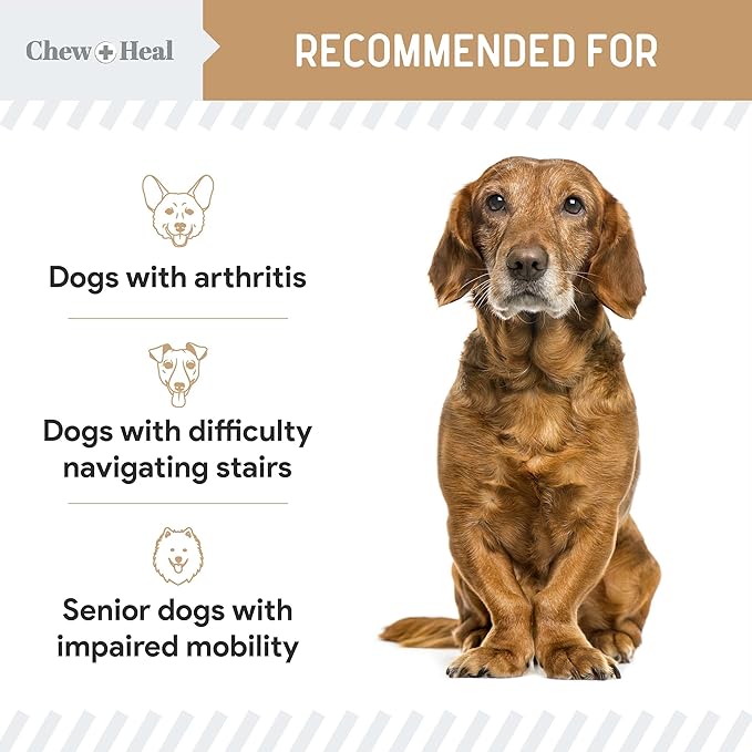 Glucosamine for Dogs Hip and Joint Supplement - 120 Soft Chews for Senior Dogs with Glucosamine, Chondroitin, MSM, and Omegas - for Mobility, Cartilage, and Joint Health - Peanut Butter Flavor