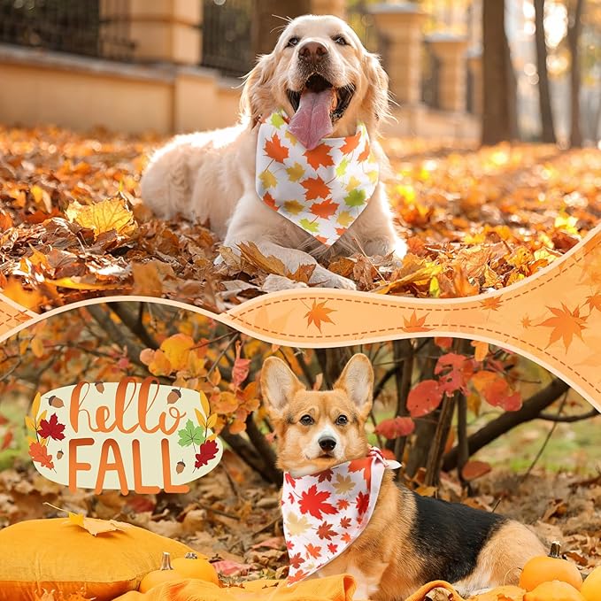 Chunful 60 Pcs Thanksgiving Fall Bandanas for Dogs Autumn Maple Leaf Pumpkin Patterns Soft Bibs Adjustable Triangle Doggie Scarf for Small Medium Large Pet Costume(31.5 x 21.7 x 21.7 Inch)