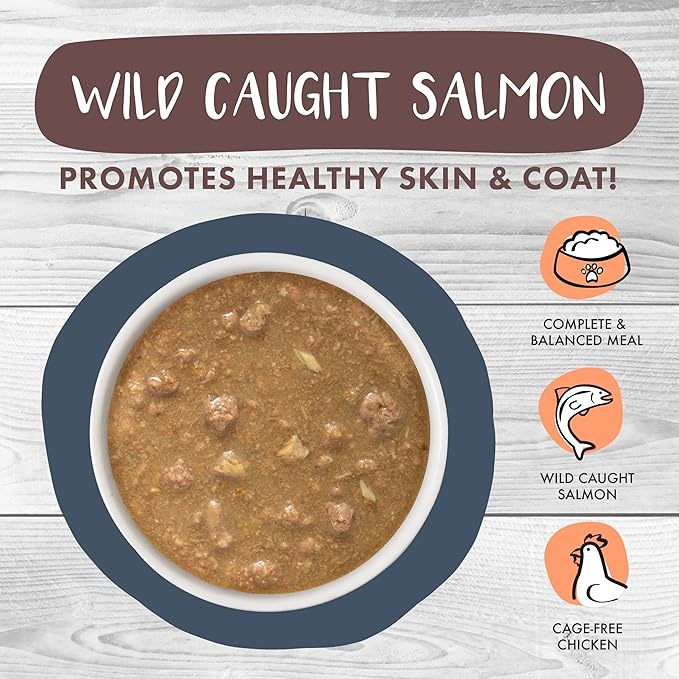 Weruva Classic Cat Stews!, Goody Stew Shoes with Chicken & Salmon in Gravy, 2.8oz Can (Pack of 12)