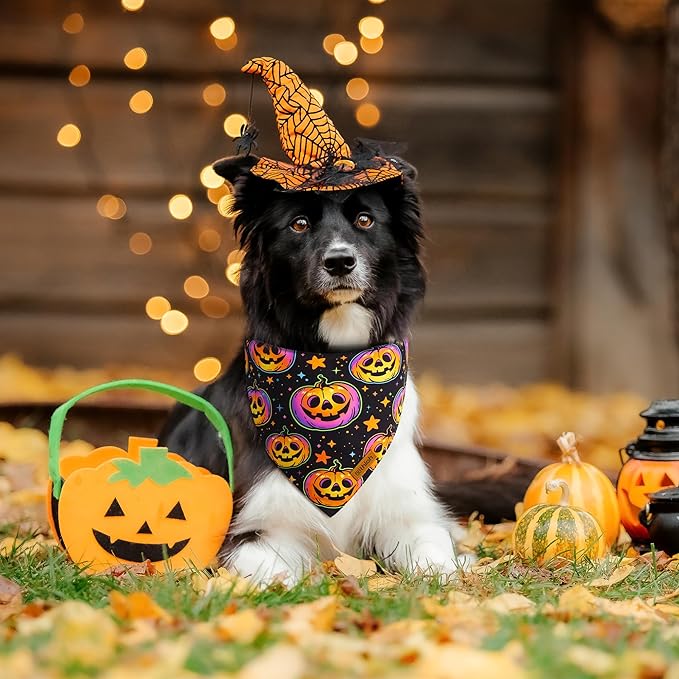 Halloween Dog Bandanas - 2 Pack Reversible Pumpkin and Bat Pet Scarf for Boys and Girls | Fall Dog Bibs | Premium Durable Fabric | Holiday Dog Bandana for Large and Extra Large Dogs (X-Large)