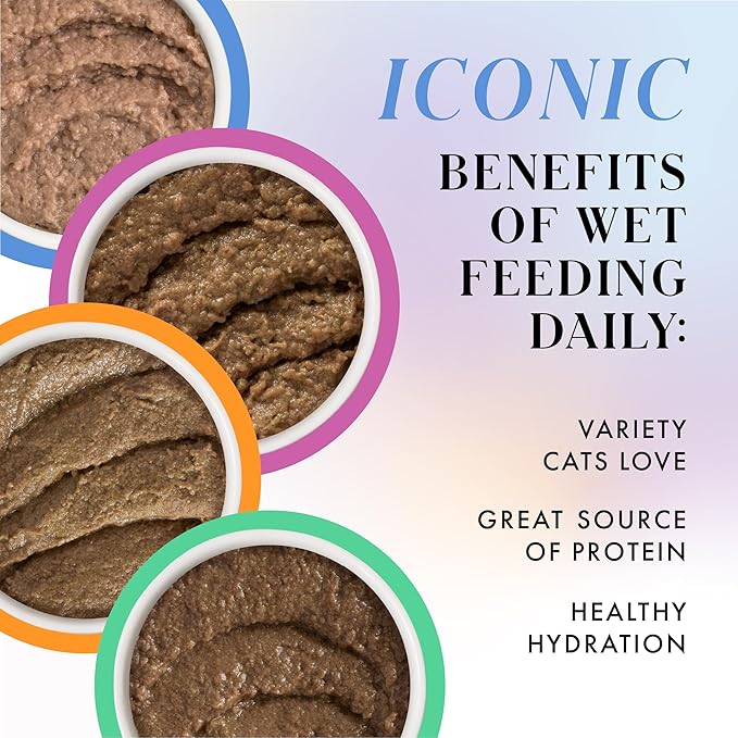 Weruva Paris Hilton Pamper Like Paris Natural Grain Free Wet Cat Food, Slay The Paté Variety Pack, 2.47oz Can (Pack of 12)