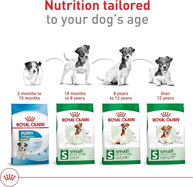 Royal Canin Size Health Nutrition Small Aging 12+ Senior Dry Dog Food, 2.5 lb Bag
