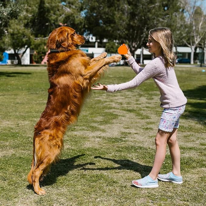 New Oasis Dog Treat Pouch, Big Silicone Dog Treat Pouch Reusable, Dog Training Treat Pouch Portable Treat Pouches for Pet Training Dog Pouch for Training Coin Purse Key Case, Orange
