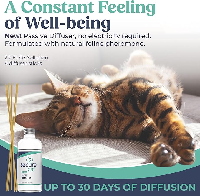 SecureCat Pheromone Home Stick Diffuser Refill, Provides 30 More Days of Natural Support for an Environment of Calm and Well-Being, Helping Relieve Any Feeling of Anxiety and Stress