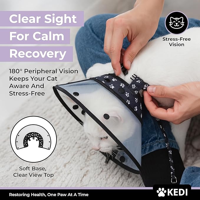 Cat Recovery Cone Kit Post Surgical Soft Pet Vest, Collar, and Non-Irritating Protection Cone for Cats - Comfortable Injury Care Solution (Black with White Paws, Medium)