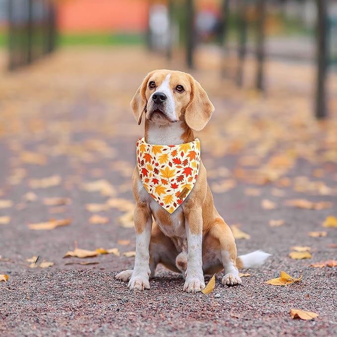 Fall Dog Bandanas - 2 Pack Halloween Thanksgiving Dog Bandana | Reversible Pumpkin and Leaf Pet Scarf for Boy & Girl | Premium Durable Fabric | Holiday Bandana for Small and Medium Dogs (Small)