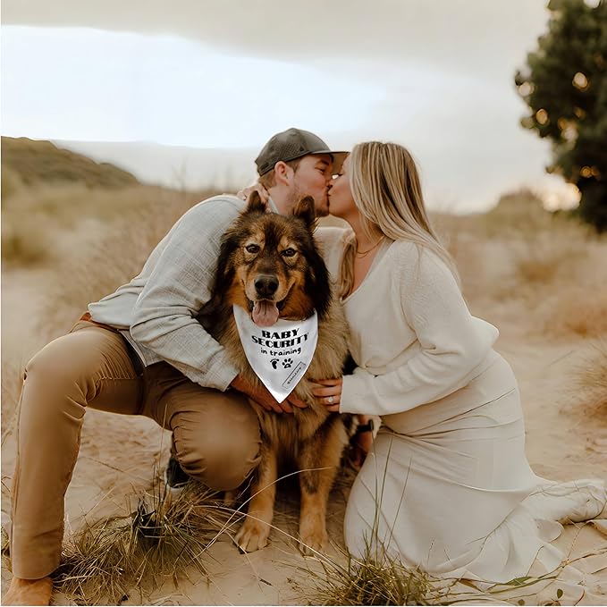 Realeaf Baby Security in Training Dog Bandanas Pet Scarf for Large and XLarge Dogs Pregnancy Announcement Pet Accessories Pregnancy Reveal Ideas (Baby Security in Training, X-Large)