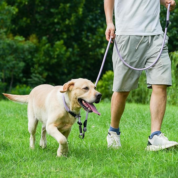Rope Dog Leash, 4 ft Heavy Duty Dog Leash with Aviation Aluminum Auto Locking Carabiner, Strong Nylon Pet Lead for Small, Medium, Large Dogs (Purple, 4FT)