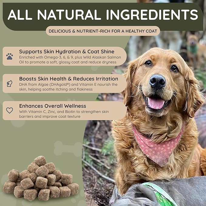 Asher House Wellness Skin & Coat Chews - Dog Itching Skin Relief with Omega 3, 6, 9, Fish Oil, Biotin - Dogs Itchy Paw Licking Chewable Treats, Puppy Dry Itch Supplement - 120 Soft Chews