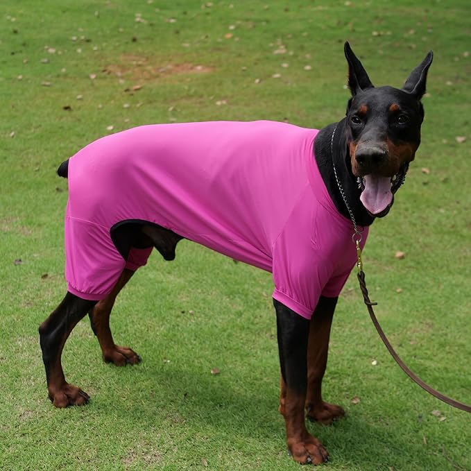 LoveLongLong Dog Jumpsuit with UV Protection and Quick-Dry Fabric for Spring Summer Pet Pajamas Purplish red L