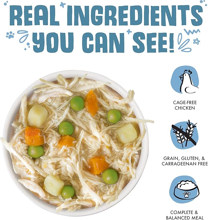 Weruva Classic Dog Food, Grandma's Chicken Soup with Chicken Breast & Veggies, 14oz Can (Pack of 12), Teal (878408004568)