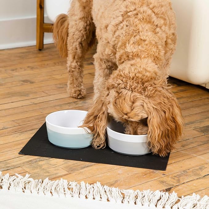 Waggo Dipper Ceramic Dog Bowl for Small and Large Breeds - Heavyweight and Durable Pet Food and Water Dish Crock, Dishwasher Safe, Modern (Mint, Large)