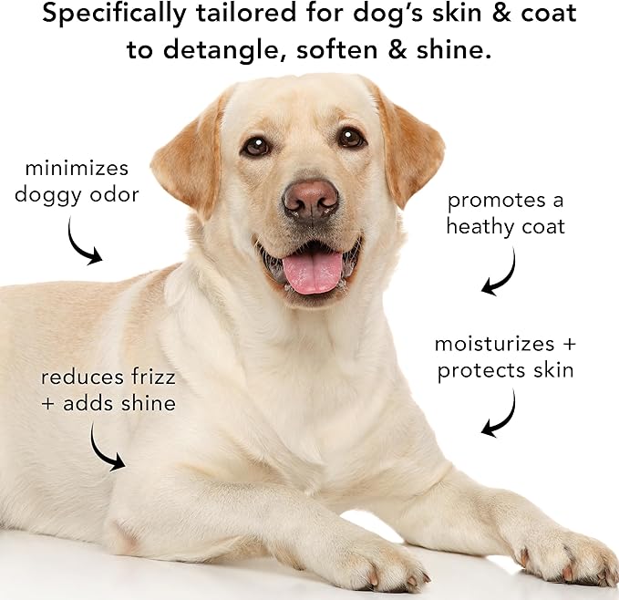 Pride and Groom The Final Coat | Grooming Conditioner That Extends The Life of a Groom | Tearless All Natural Ingredients That Untangle, Nourish, and Add Shine for All Dogs – 128oz