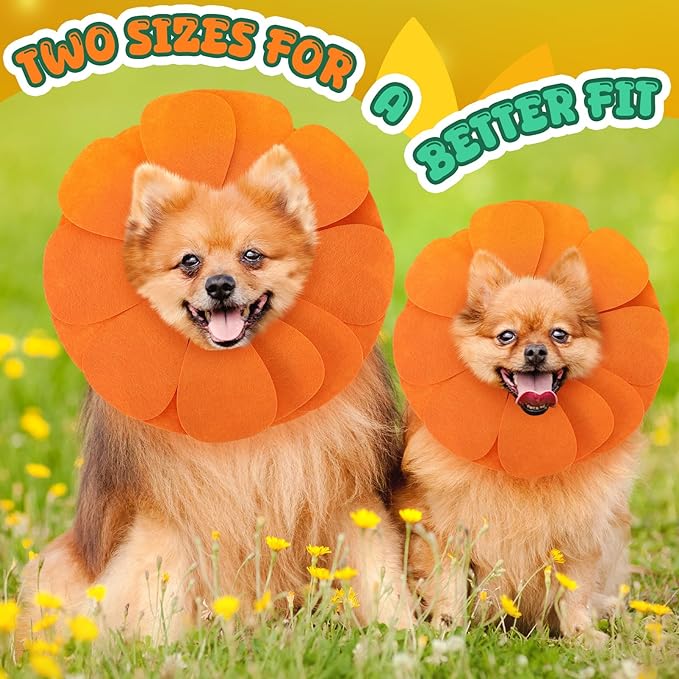 Pet Sun Flower Hat Halloween Pet Sunflower Costume for Dog Cat Puppy Dress up Collar Costume Hat Outfit Cosplay Halloween(Large)